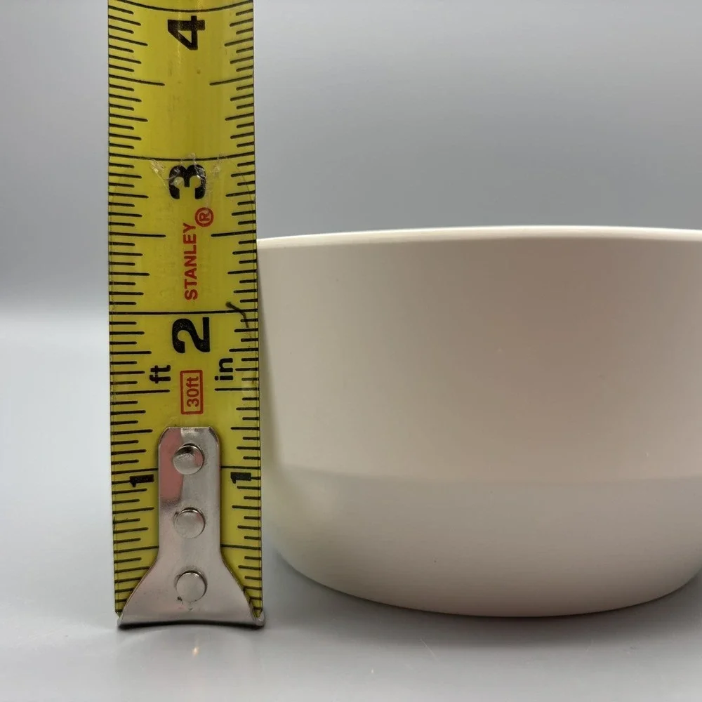 West Elm Aaron Probyn Melamine Neutral Beige Cereal Salad Soup Bowls Set of 4